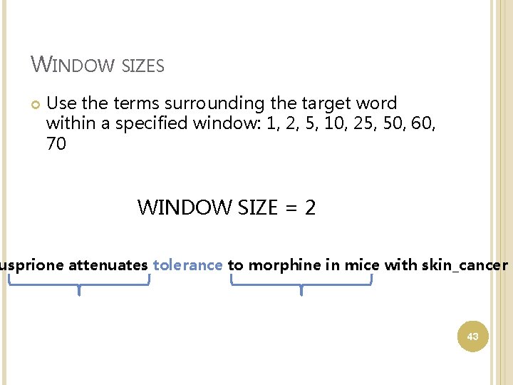 WINDOW SIZES Use the terms surrounding the target word within a specified window: 1,