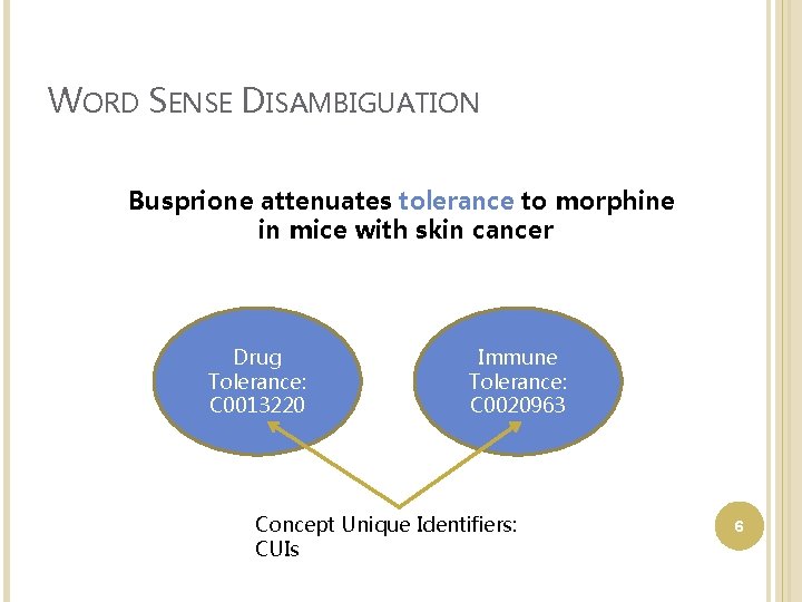 WORD SENSE DISAMBIGUATION Busprione attenuates tolerance to morphine in mice with skin cancer Drug