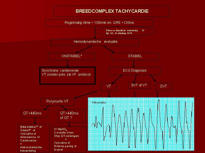 BREEDCOMPLEX TACHYCARDIE Regelmatig ritme > 100/min en QRS >120 ms Ritme en bloeddruk monitoring