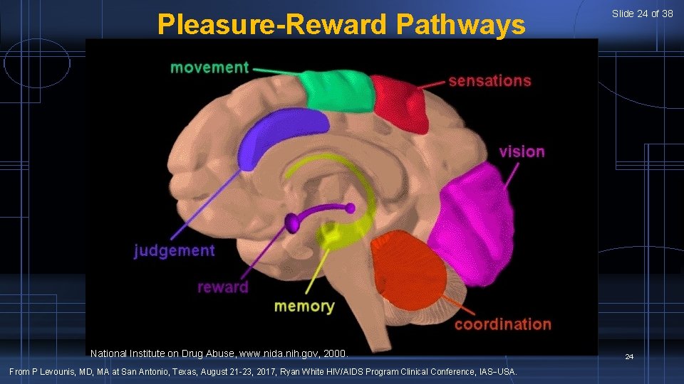 Pleasure-Reward Pathways National Institute on Drug Abuse, www. nida. nih. gov, 2000. From P