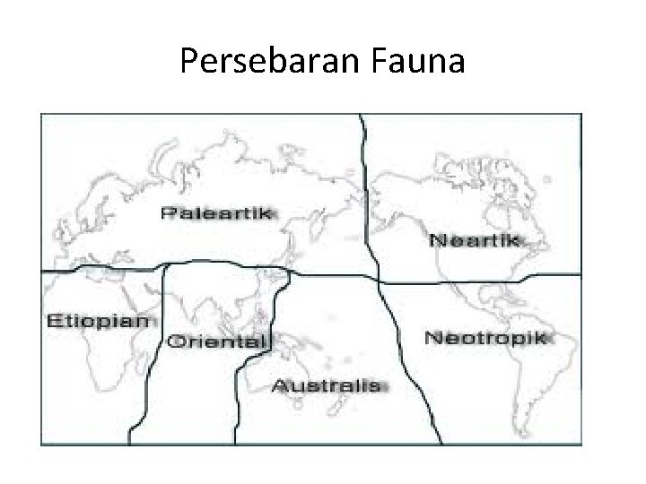 Persebaran Fauna 