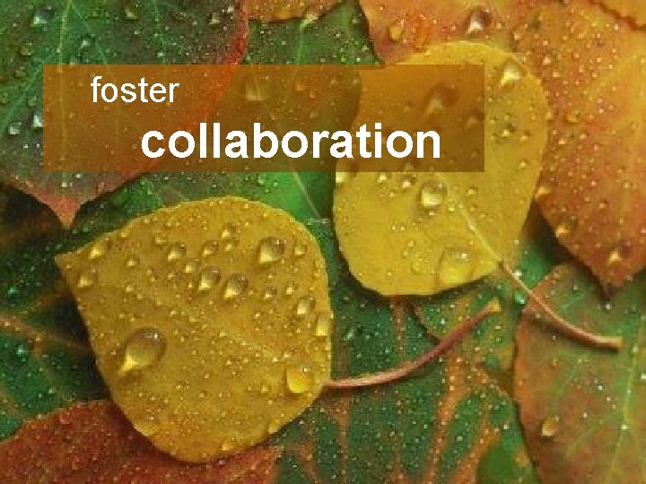 Unleashing Innovation foster collaboration Collaboration Process 