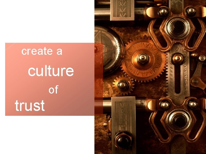 Trust create a culture of trust 