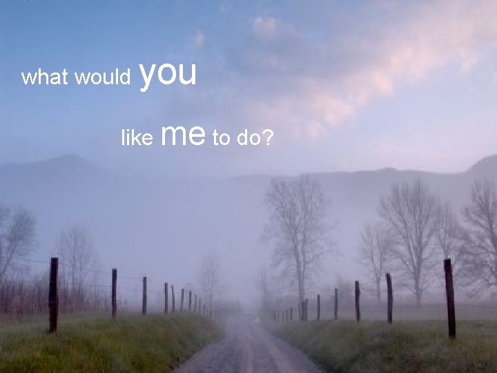 what would you like me to do? 