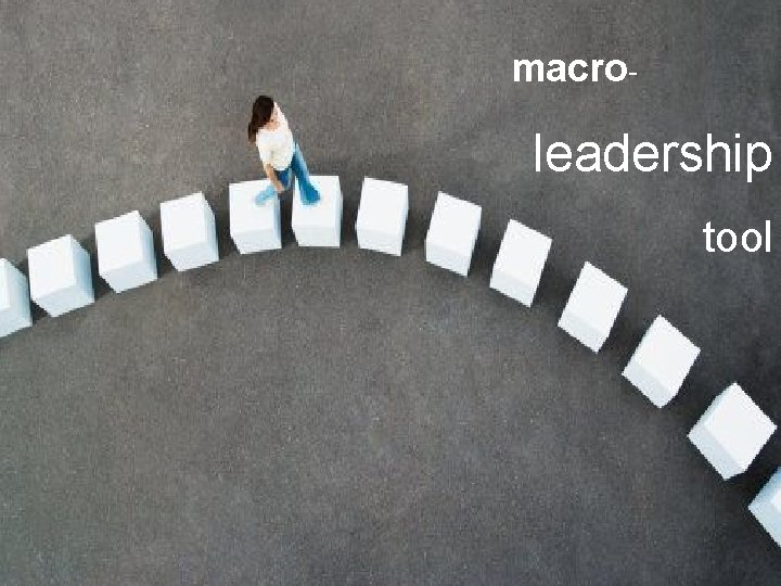 macro- leadership tool 