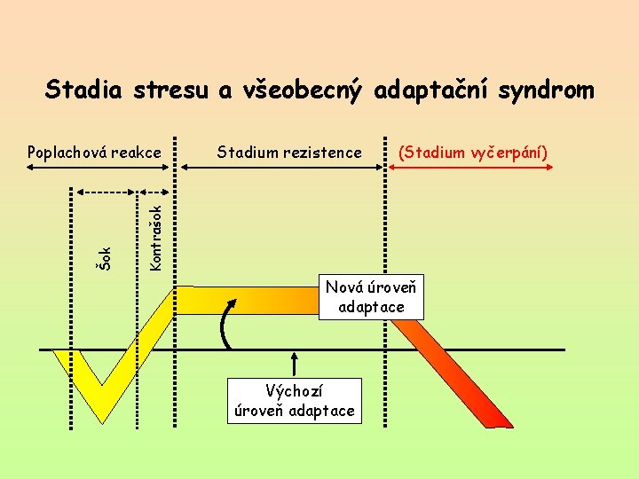 Stadia stresu a všeobecný adaptační syndrom Stadium rezistence (Stadium vyčerpání) Kontrašok Šok Poplachová reakce