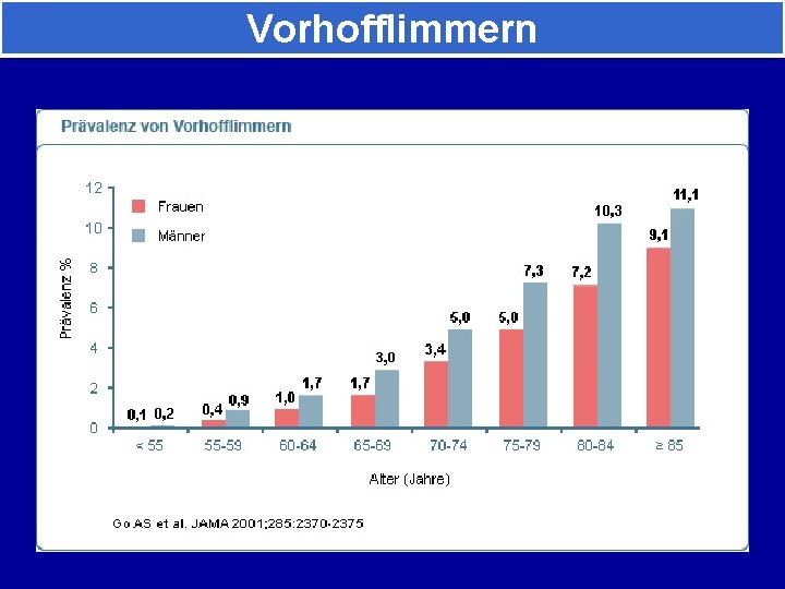 Vorhofflimmern 