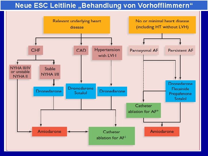 Neue ESC Leitlinie „Behandlung von Vorhofflimmern“ 