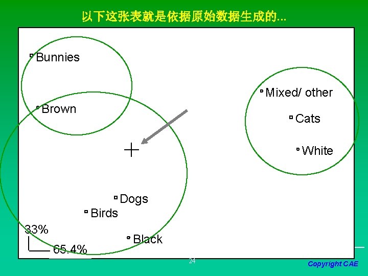 以下这张表就是依据原始数据生成的. . . Bunnies Mixed/ other Brown Cats White Dogs Birds 33% 65. 4%