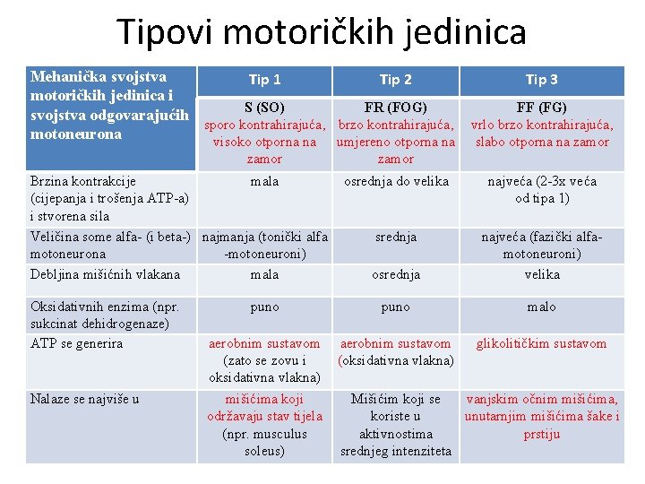 Tipovi motoričkih jedinica Mehanička svojstva Tip 1 Tip 2 Tip 3 motoričkih jedinica i