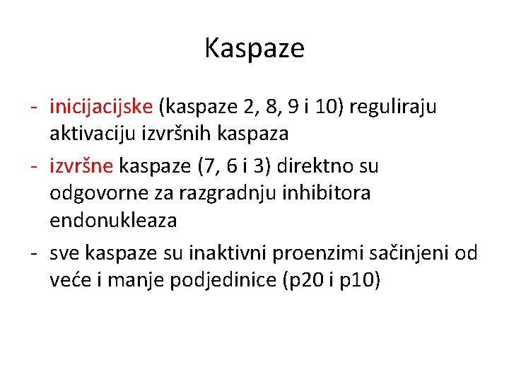 Kaspaze - inicijacijske (kaspaze 2, 8, 9 i 10) reguliraju aktivaciju izvršnih kaspaza -