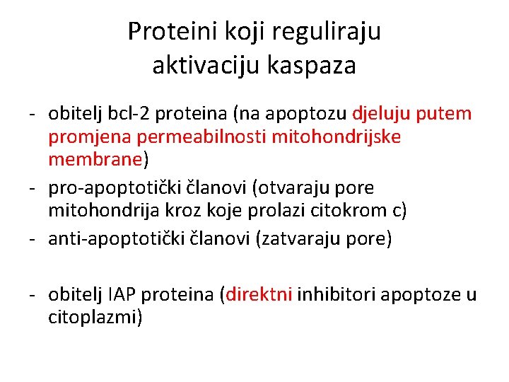 Proteini koji reguliraju aktivaciju kaspaza - obitelj bcl-2 proteina (na apoptozu djeluju putem promjena