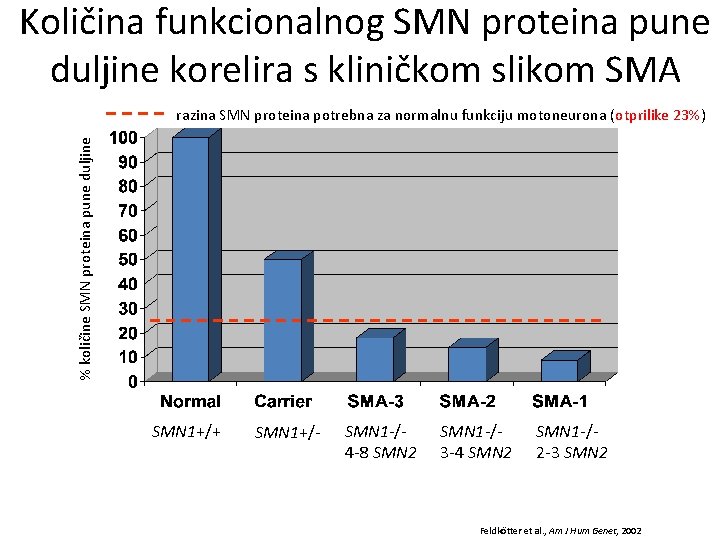 Količina funkcionalnog SMN proteina pune duljine korelira s kliničkom slikom SMA % količine SMN