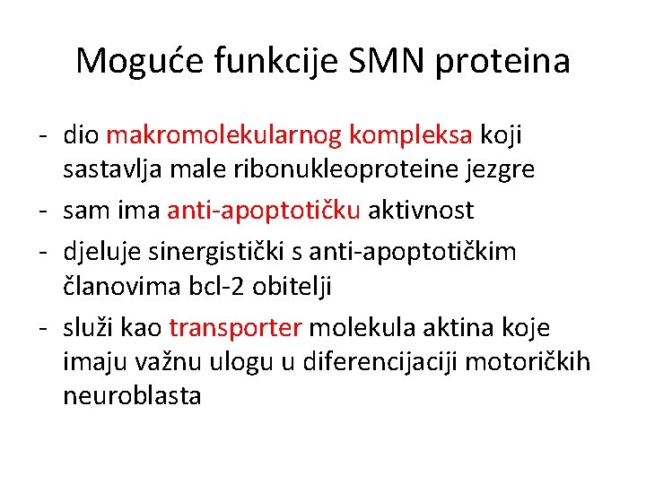 Moguće funkcije SMN proteina - dio makromolekularnog kompleksa koji sastavlja male ribonukleoproteine jezgre -