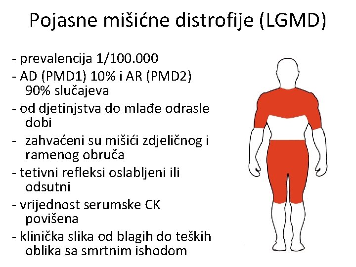 Pojasne mišićne distrofije (LGMD) - prevalencija 1/100. 000 - AD (PMD 1) 10% i