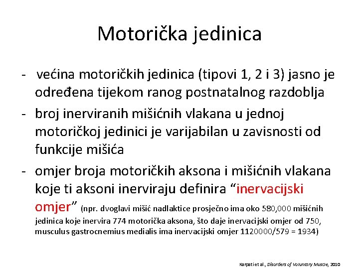 Motorička jedinica - većina motoričkih jedinica (tipovi 1, 2 i 3) jasno je određena