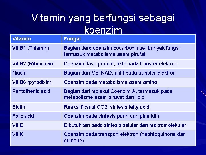 Vitamin yang berfungsi sebagai koenzim Fungai Vit B 1 (Thiamin) Bagian daro coenzim cocarboxilase,