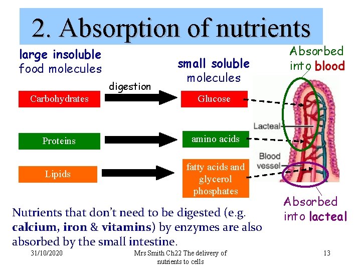 2. Absorption of nutrients large insoluble food molecules digestion small soluble molecules Carbohydrates Glucose
