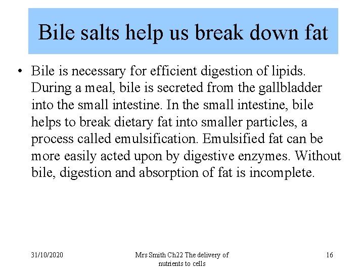 Bile salts help us break down fat • Bile is necessary for efficient digestion