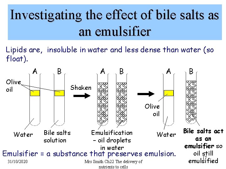 Investigating the effect of bile salts as an emulsifier Lipids are, insoluble in water