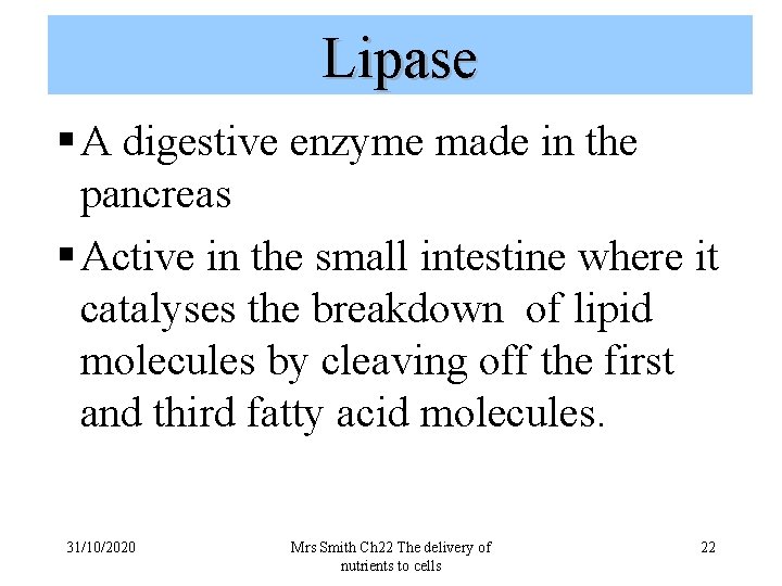 Lipase § A digestive enzyme made in the pancreas § Active in the small