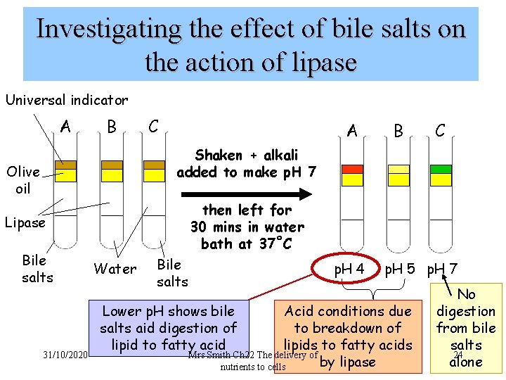 Investigating the effect of bile salts on the action of lipase Universal indicator A