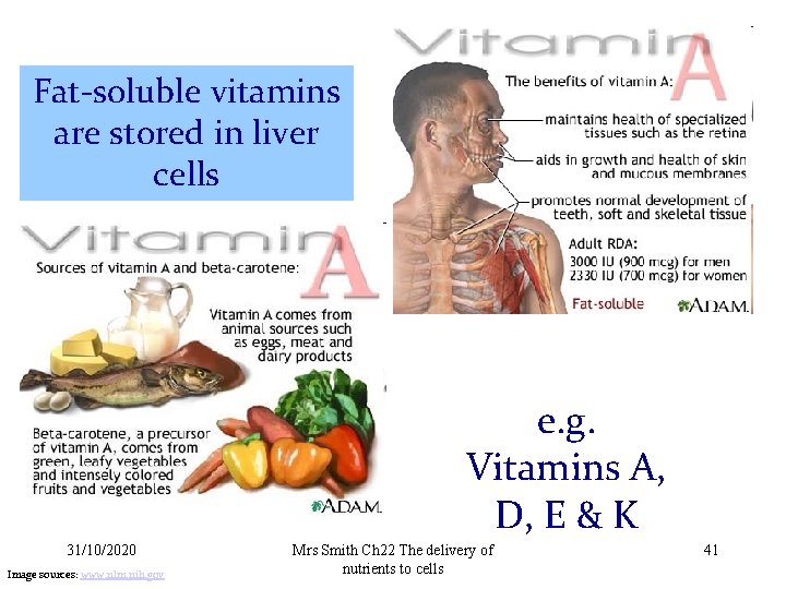 Fat-soluble vitamins are stored in liver cells e. g. Vitamins A, D, E &