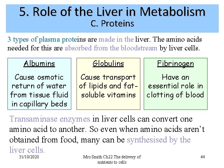 5. Role of the Liver in Metabolism C. Proteins 3 types of plasma proteins