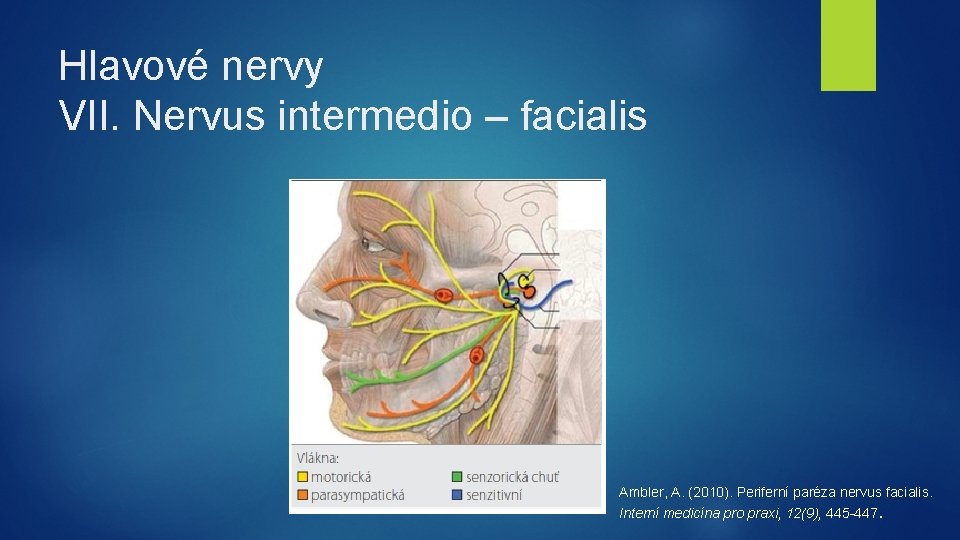 Hlavové nervy VII. Nervus intermedio – facialis Ambler, A. (2010). Periferní paréza nervus facialis.