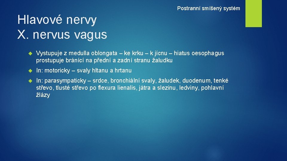 Postranní smíšený systém Hlavové nervy X. nervus vagus Vystupuje z medulla oblongata – ke