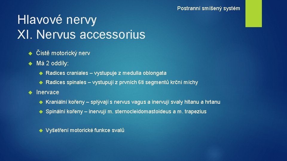 Postranní smíšený systém Hlavové nervy XI. Nervus accessorius Čistě motorický nerv Má 2 oddíly: