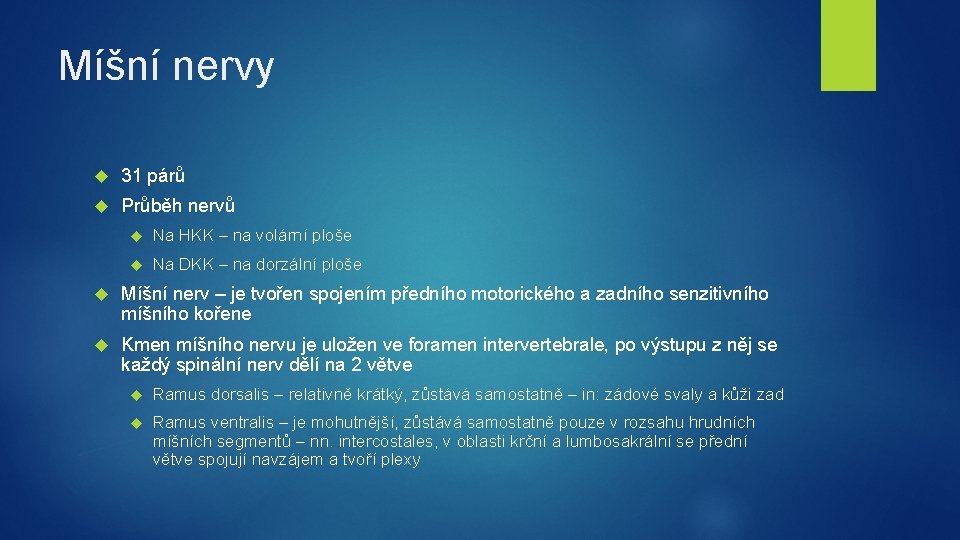 Míšní nervy 31 párů Průběh nervů Na HKK – na volární ploše Na DKK