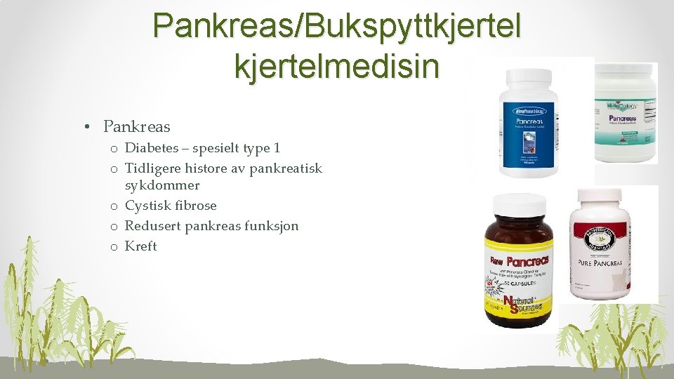 Pankreas/Bukspyttkjertelmedisin • Pankreas o Diabetes – spesielt type 1 o Tidligere histore av pankreatisk