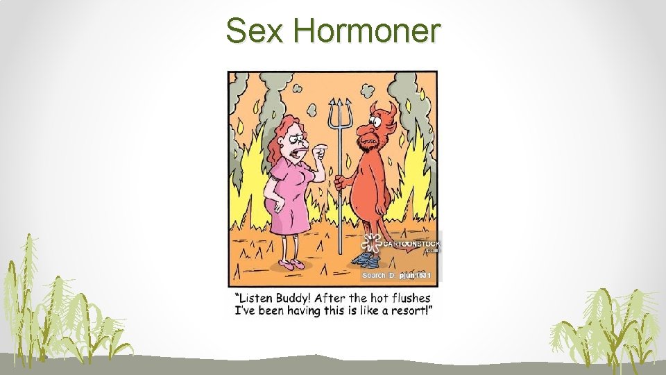 Sex Hormoner 