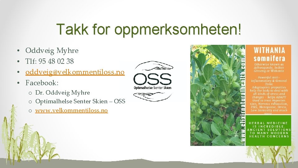 Takk for oppmerksomheten! • • Oddveig Myhre Tlf: 95 48 02 38 oddveig@velkommentiloss. no