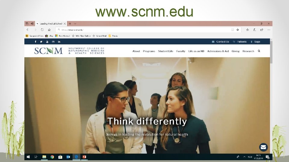 www. scnm. edu 