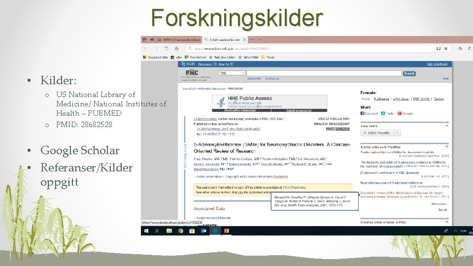 Forskningskilder • Kilder: o US National Library of Medicine/ National Institutes of Health –