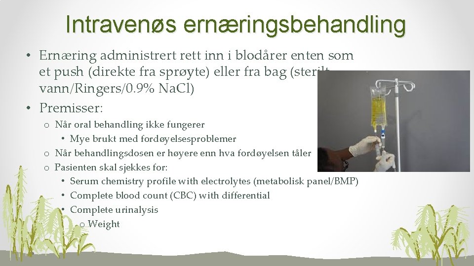 Intravenøs ernæringsbehandling • Ernæring administrert rett inn i blodårer enten som et push (direkte