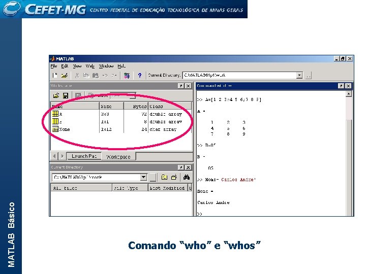 MATLAB Básico Comando “who” e “whos” 