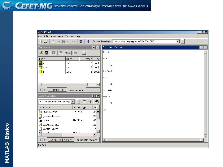 MATLAB Básico 