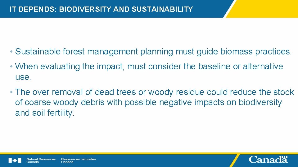 IT DEPENDS: BIODIVERSITY AND SUSTAINABILITY • Sustainable forest management planning must guide biomass practices.