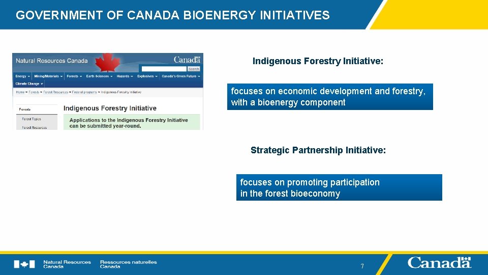 GOVERNMENT OF CANADA BIOENERGY INITIATIVES Indigenous Forestry Initiative: focuses on economic development and forestry,