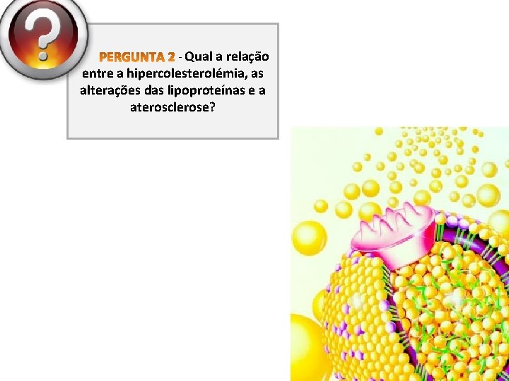 - Qual a relação entre a hipercolesterolémia, as alterações das lipoproteínas e a aterosclerose?