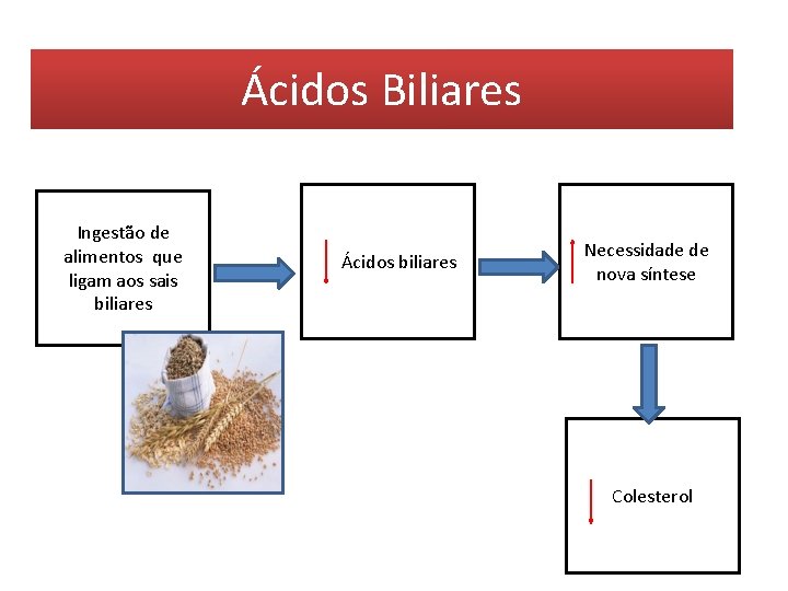 Ácidos Biliares Ingestão de alimentos que ligam aos sais biliares Ácidos biliares Necessidade de