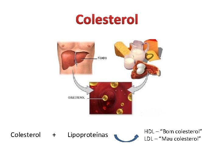 Colesterol + Lipoproteínas HDL – “Bom colesterol” LDL – “Mau colesterol” 