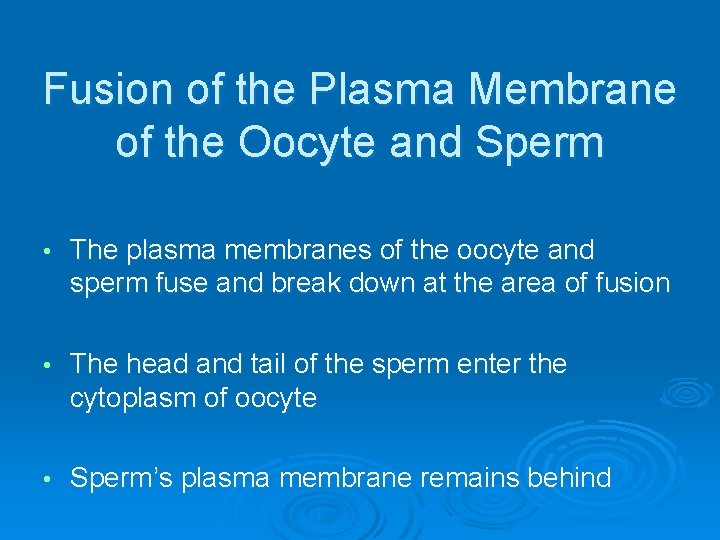 Fusion of the Plasma Membrane of the Oocyte and Sperm • The plasma membranes