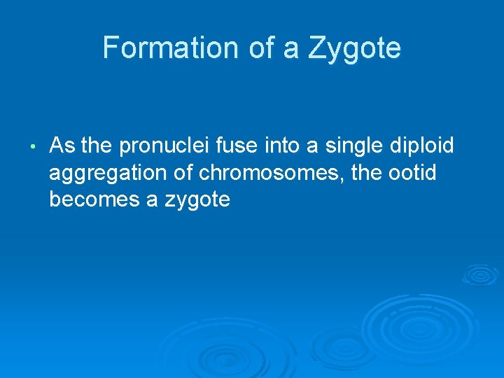 Formation of a Zygote • As the pronuclei fuse into a single diploid aggregation