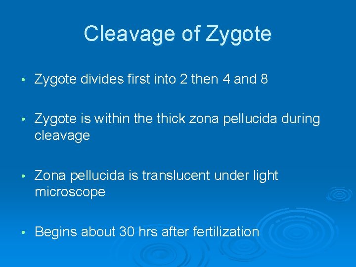 Cleavage of Zygote • Zygote divides first into 2 then 4 and 8 •