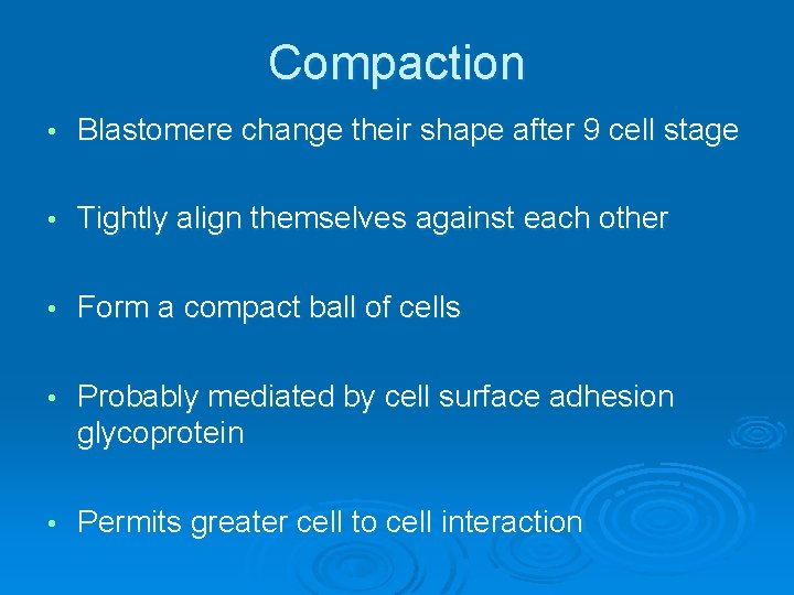 Compaction • Blastomere change their shape after 9 cell stage • Tightly align themselves