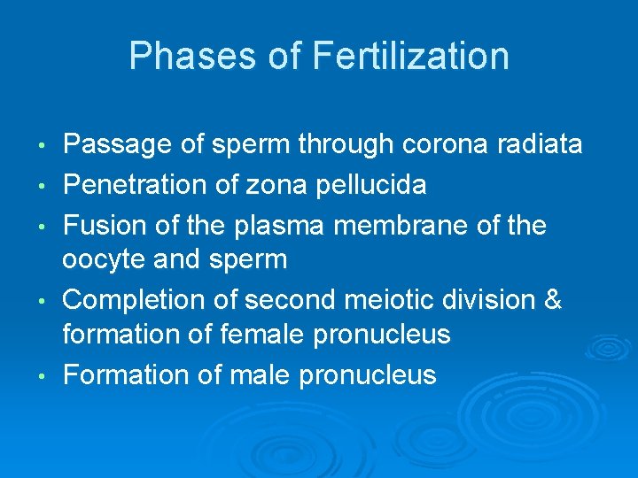 Phases of Fertilization • • • Passage of sperm through corona radiata Penetration of